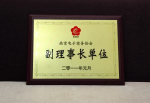 南京成立电子商务协会 焦点科技任副理事长单位